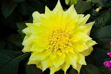 《黑神话：悟空》已成为2024年Steam上最畅销的游戏